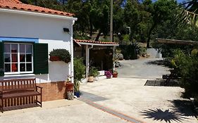 My House - Casa Charme